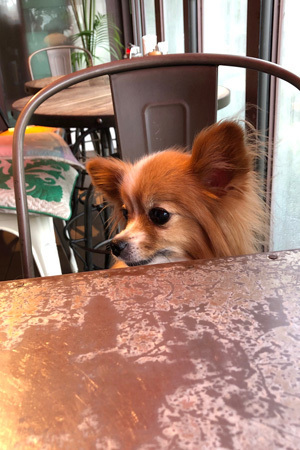 19081102.jpg