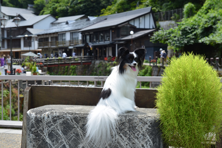 19082615.jpg