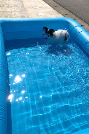 19082639.jpg