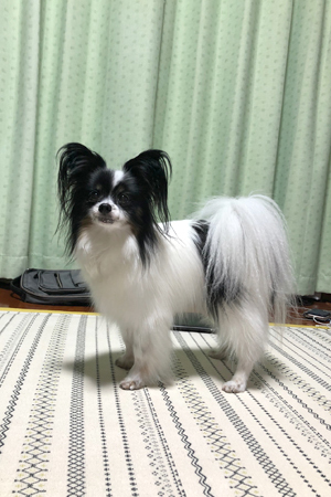 19082642.jpg