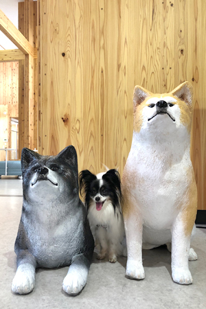 19082644.jpg